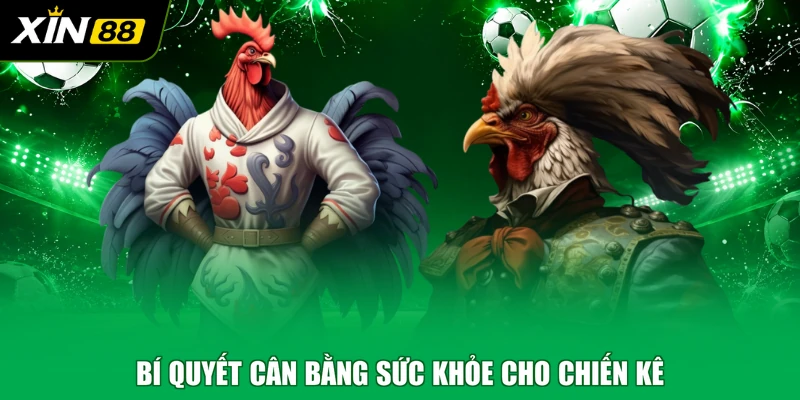 Bí quyết cân bằng sức khỏe cho chiến kê