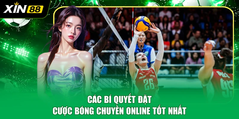 Các bí quyết đặt cược bóng chuyền online tốt nhất