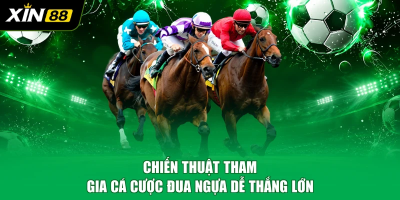 Chiến thuật tham gia cá cược đua ngựa dễ thắng lớn