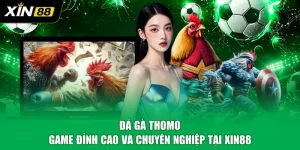 Đá Gà Thomo - Game Đỉnh Cao Và Chuyên Nghiệp Tại XIN88