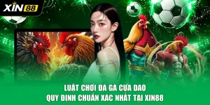 Luật Chơi Đá Gà Cựa Dao - Quy Định Chuẩn Xác Nhất Tại XIN88