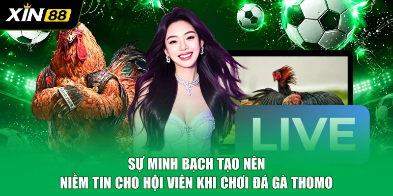 Sự minh bạch tạo nên niềm tin cho hội viên khi chơi đá gà Thomo